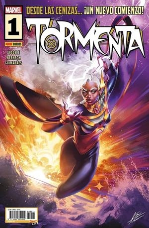 TORMENTA 01