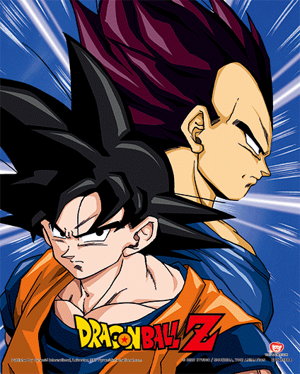 Cuadro 3D Dragon Ball protectors and destroyers 23,5 x 28,5 cm
