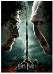 PUZLE HARRY VS VOLDEMORT HARRY POTTER