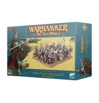 TOW: KINGDOM OF BRETONNIA - KNIGHTS OF THE REALM ON FOOT