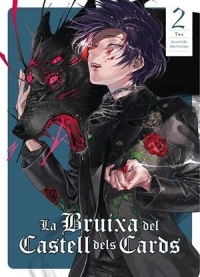 LA BRUIXA DEL CASTELL DELS CARDS VOL.02  (CATALAN)